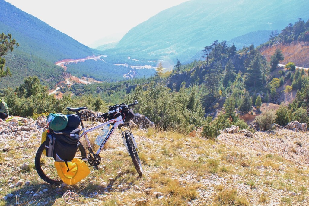 IMG_2414 (1024x683).jpg