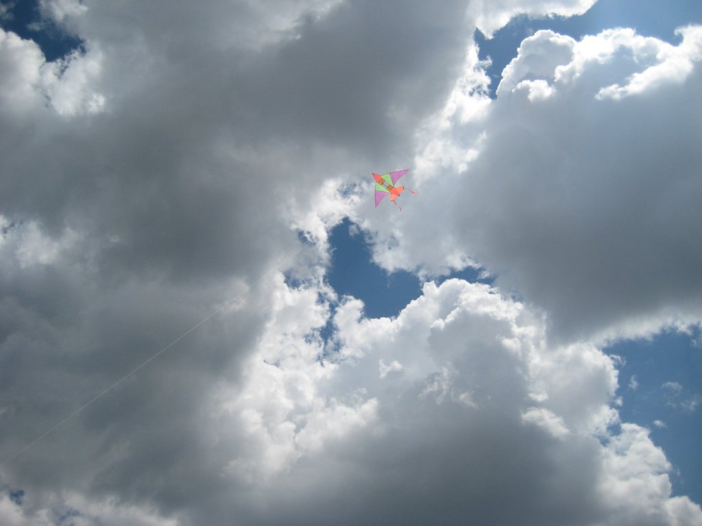 IMG_2421.JPG