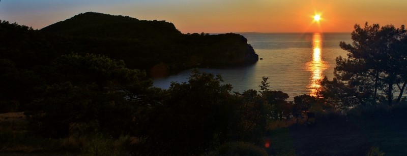 IMG_2491 BirleÃƒÂƒÃ‚Â…ÃƒÂ‚Ã‚ÂŸtirme (800x308).jpg