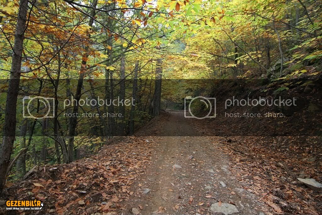 img_2512_std.jpg