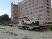 IMG_2524.jpg