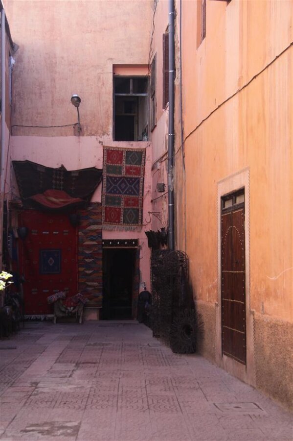 IMG_2533 (Large).JPG