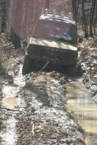 IMG_2542.jpg