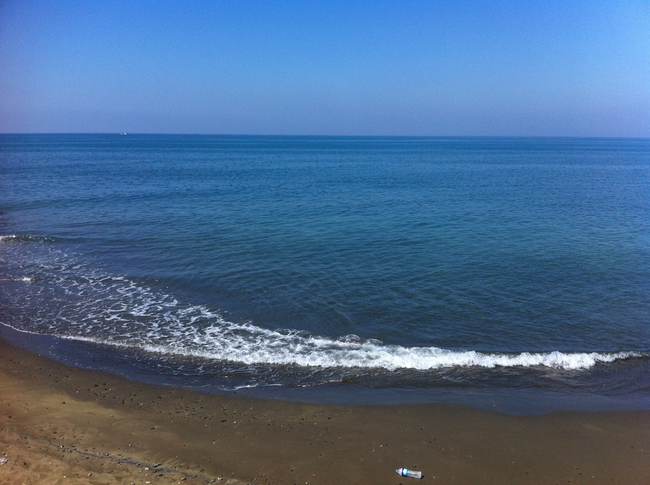 IMG_2594.jpg
