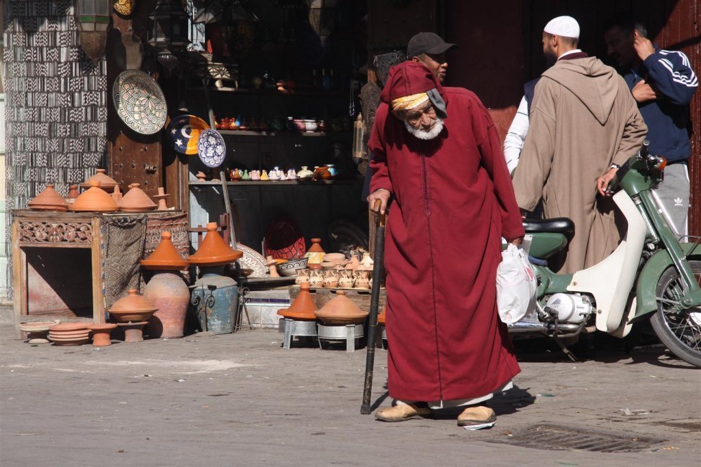 IMG_2598 (Large).JPG