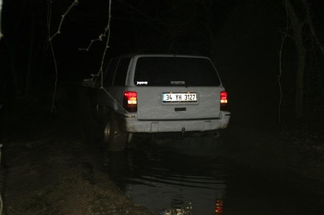 IMG_2645.jpg
