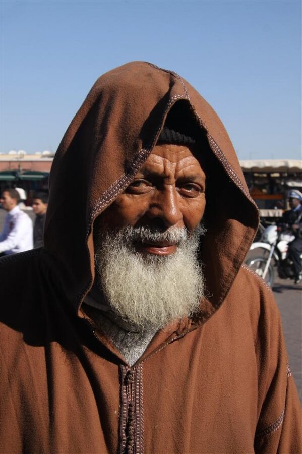 IMG_2827 (Large).JPG