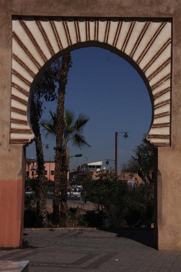 IMG_2853 (Large).JPG