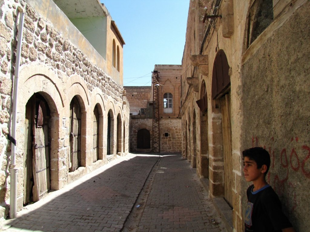 IMG_2873p.jpg