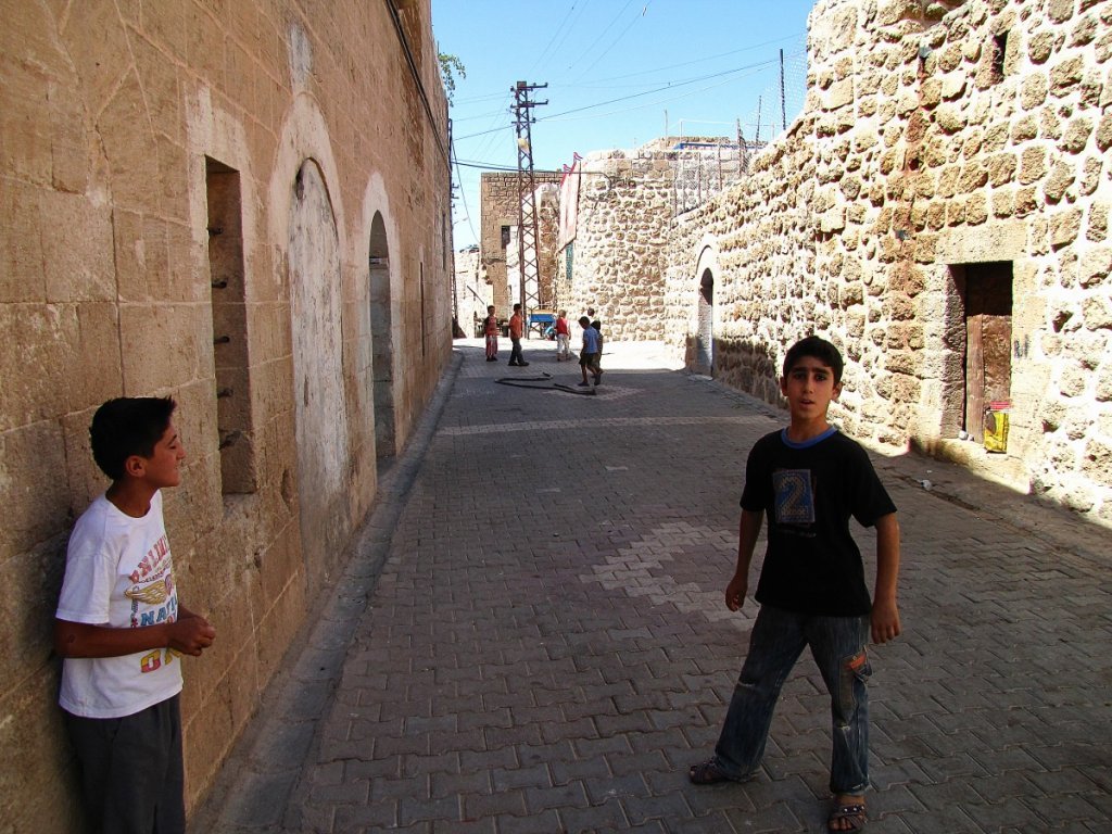 IMG_2886p.jpg
