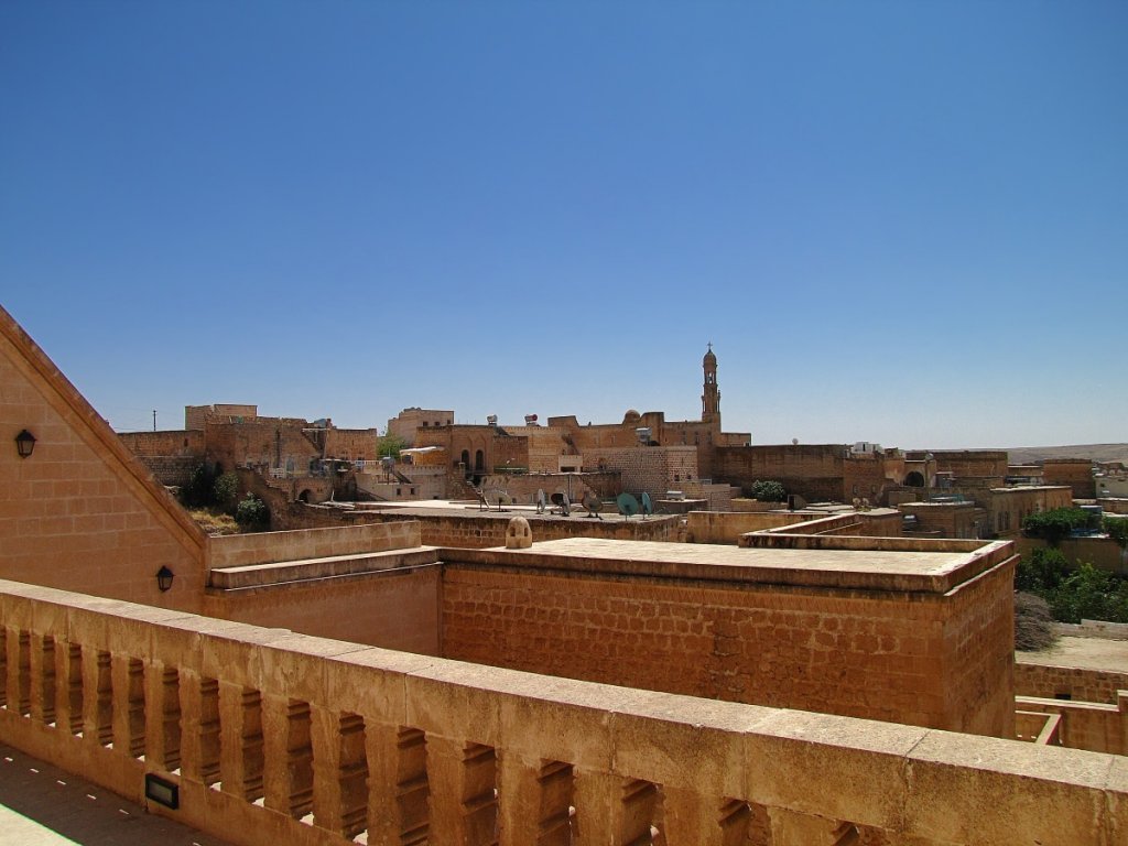IMG_2899p.jpg