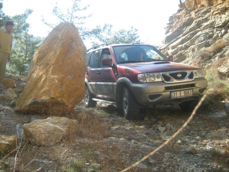 IMG_2911 [800x600].jpg