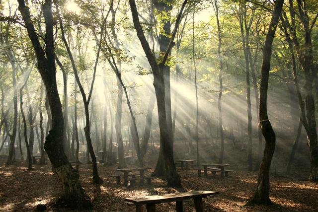 IMG_2951 (Small).jpg