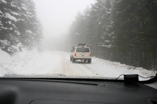 IMG_2963 (600 x 400).jpg