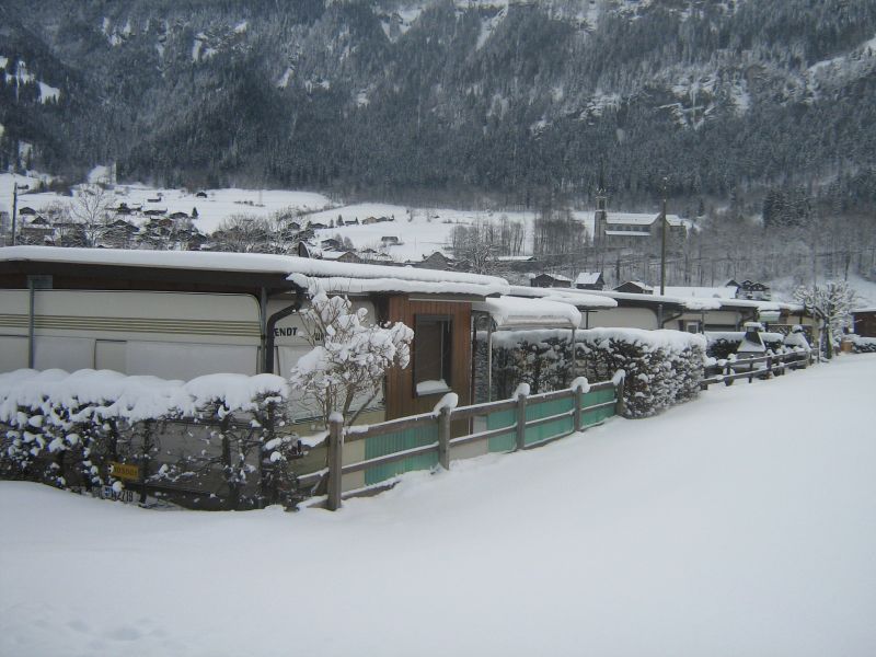 IMG_2968.jpg