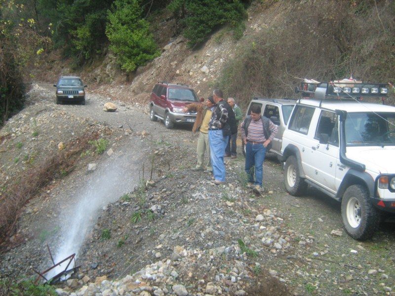 IMG_2969 [800x600].jpg