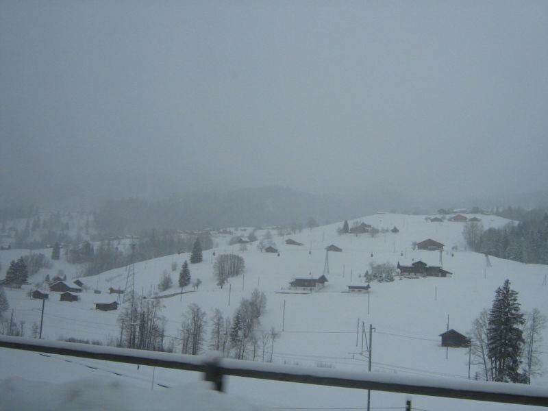 IMG_2994.jpg