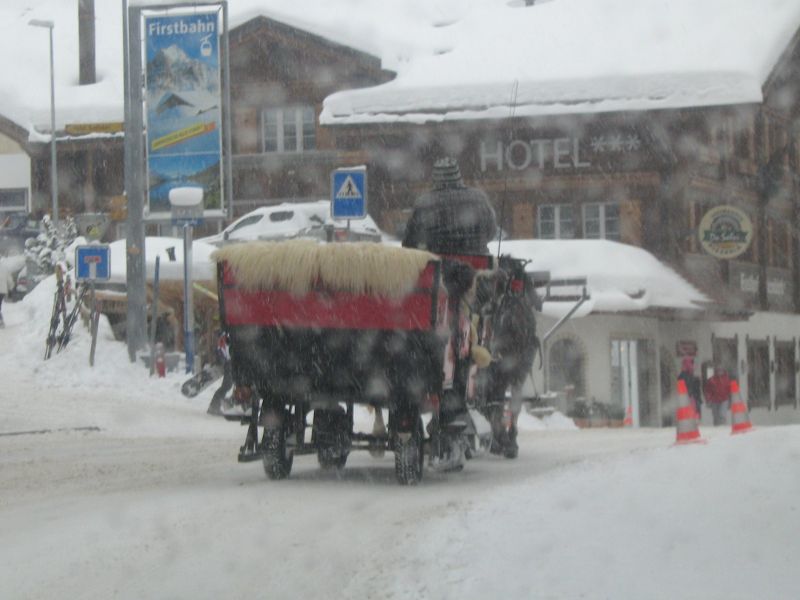 IMG_2996.jpg