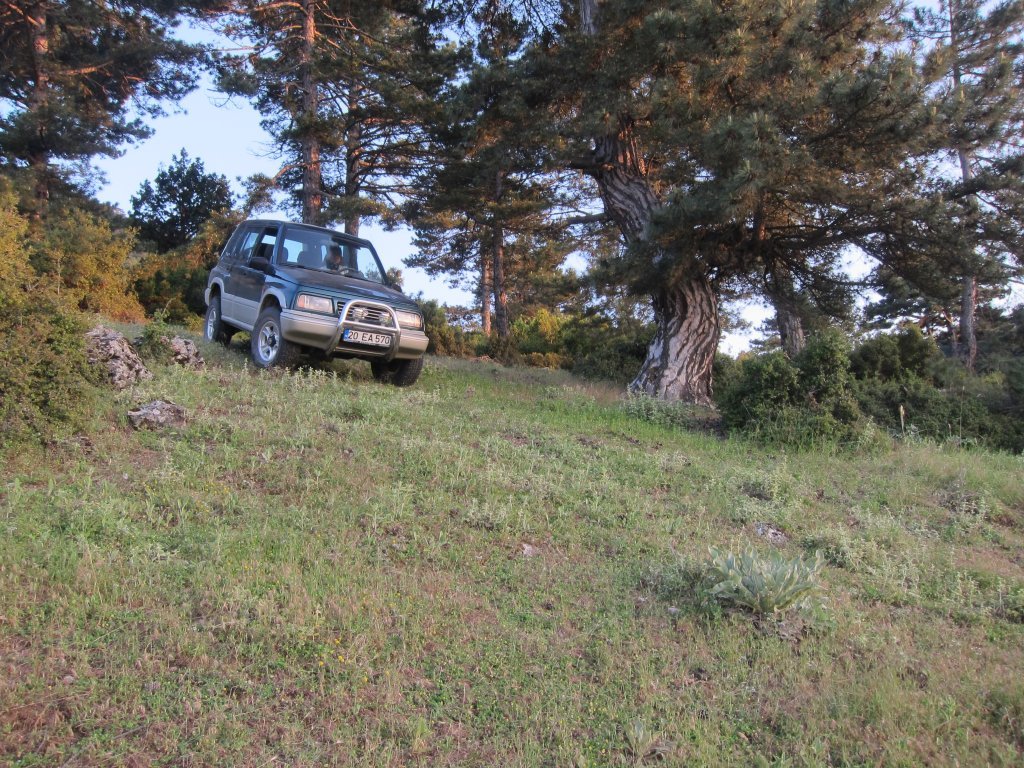 IMG_3020.jpg