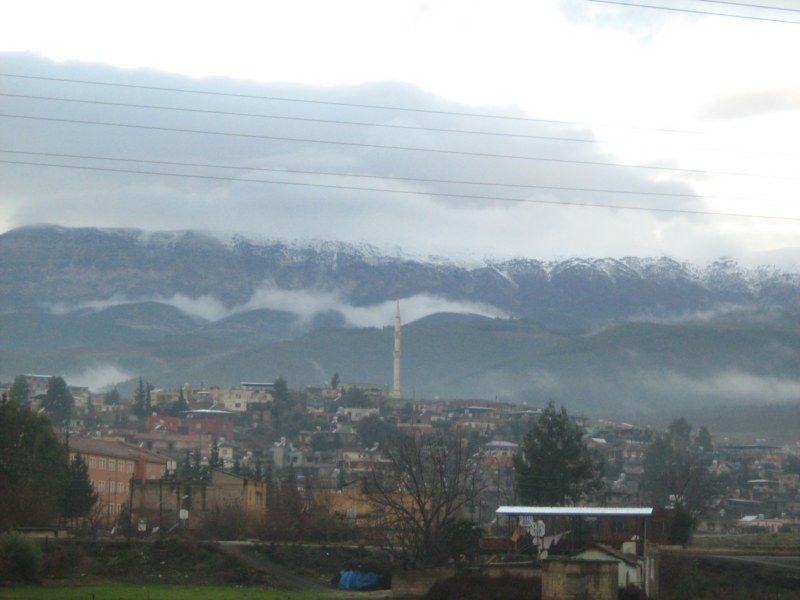 IMG_3024 [800x600].jpg