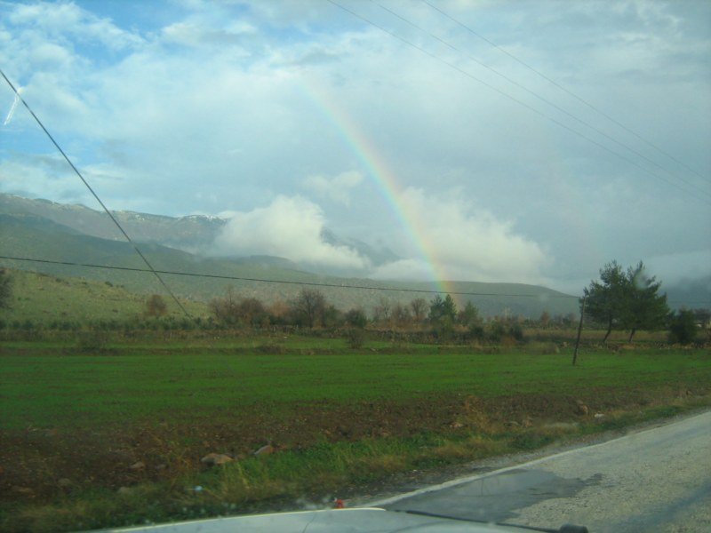 IMG_3029 [800x600].jpg