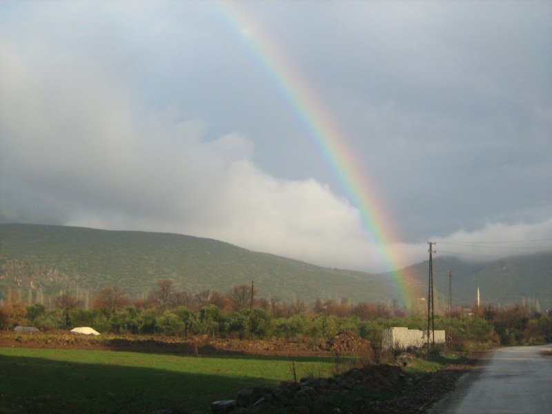 IMG_3031 [800x600].jpg