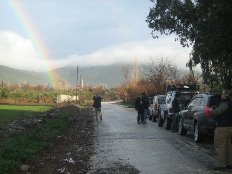 IMG_3032 [800x600].jpg