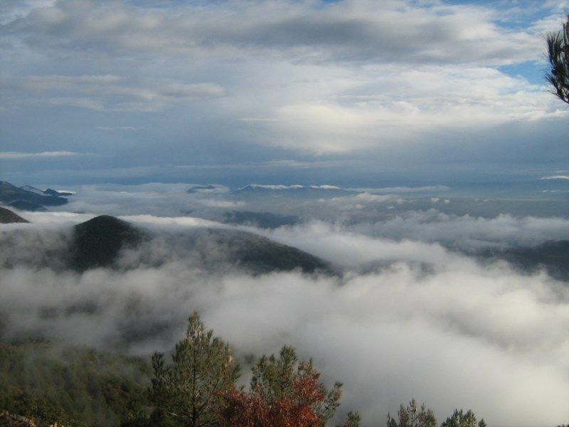 IMG_3035 [800x600].jpg