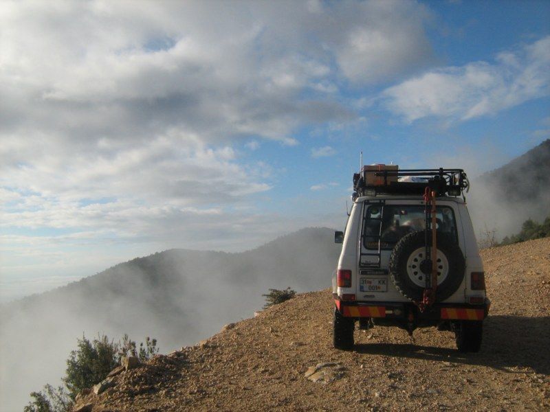 IMG_3036 [800x600].jpg