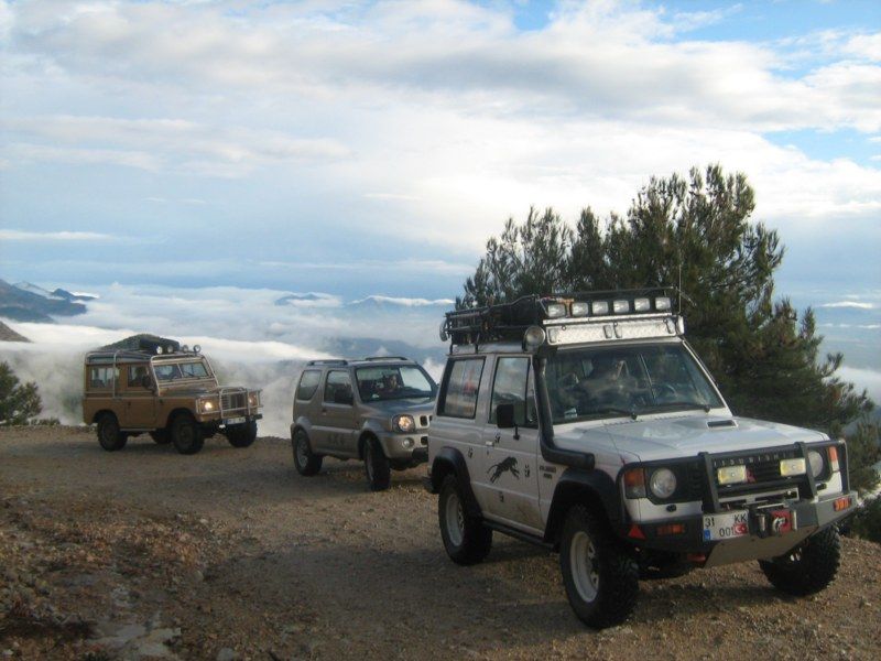 IMG_3038 [800x600].jpg