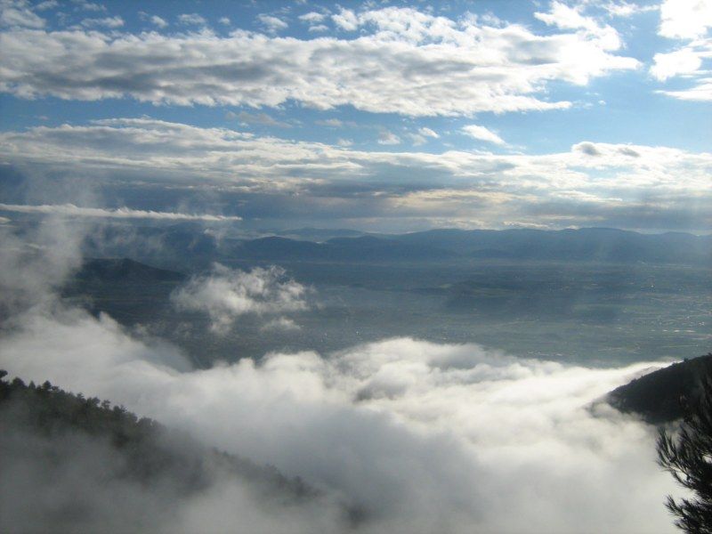 IMG_3039 [800x600].jpg