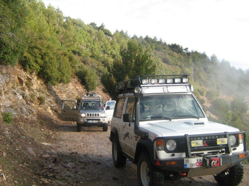 IMG_3043 [800x600].jpg