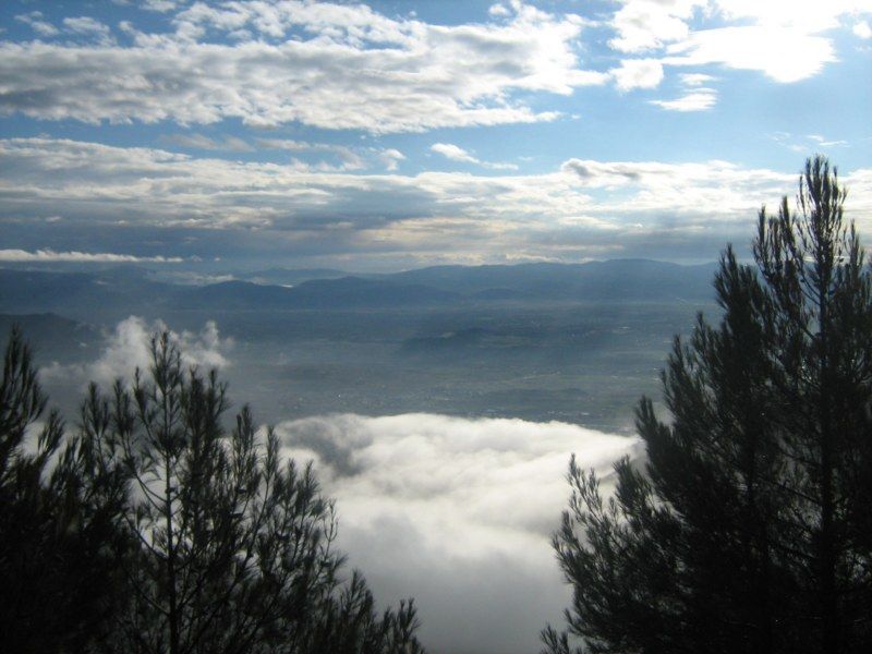 IMG_3044 [800x600].jpg