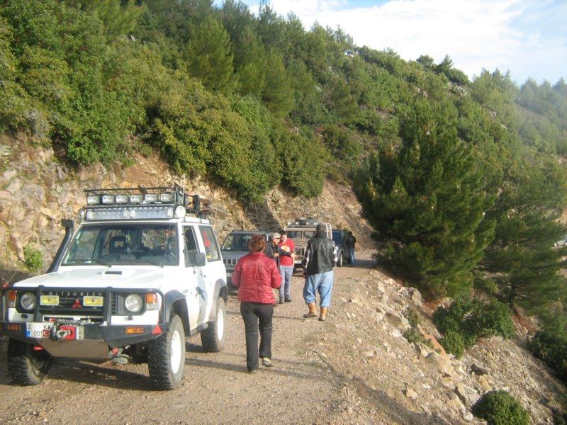 IMG_3045 [800x600].jpg