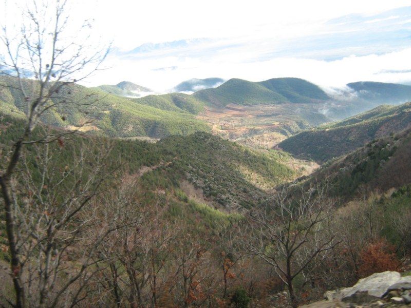 IMG_3049 [800x600].jpg