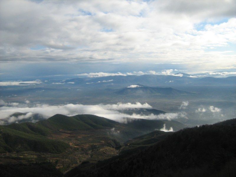 IMG_3054 [800x600].jpg