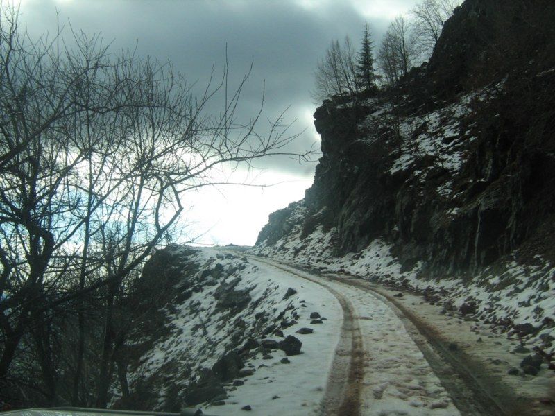 IMG_3056 [800x600].jpg