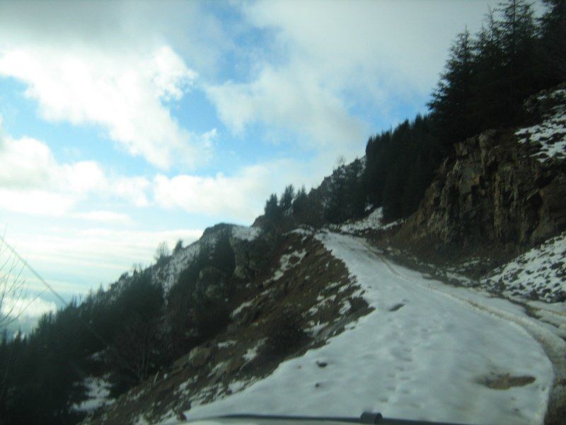 IMG_3058 [800x600].jpg