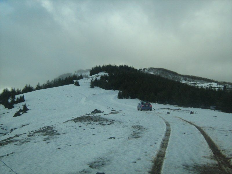 IMG_3059 [800x600].jpg