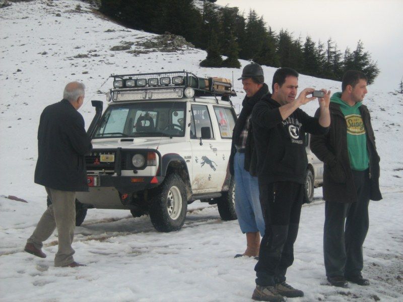 IMG_3066 [800x600].jpg