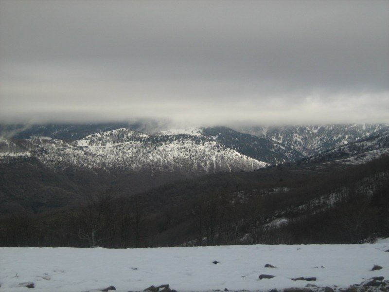 IMG_3067 [800x600].jpg