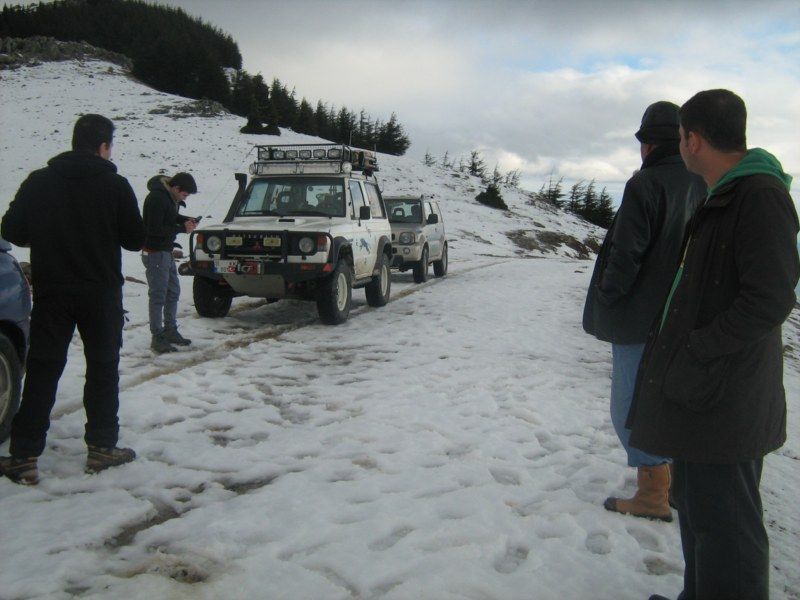 IMG_3070 [800x600].jpg