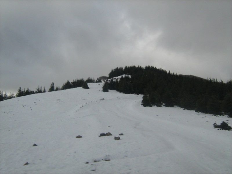 IMG_3071 [800x600].jpg