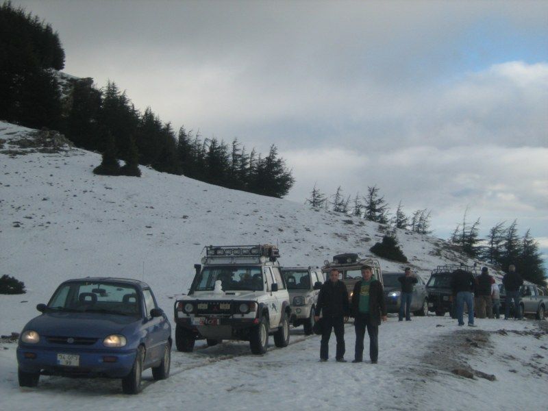 IMG_3072 [800x600].jpg