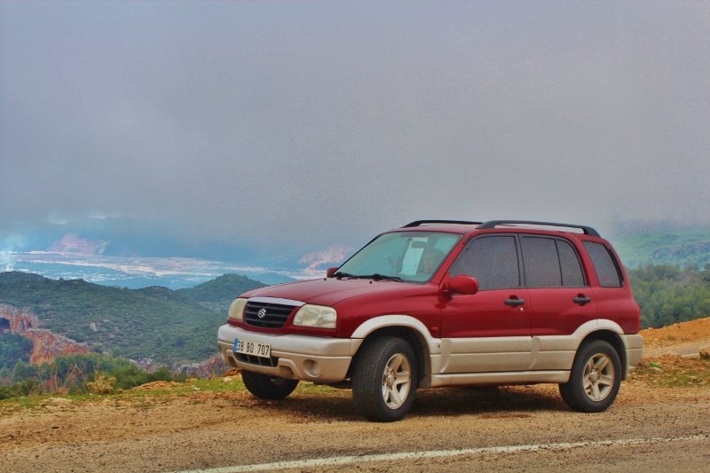 IMG_3075 (800x533).jpg