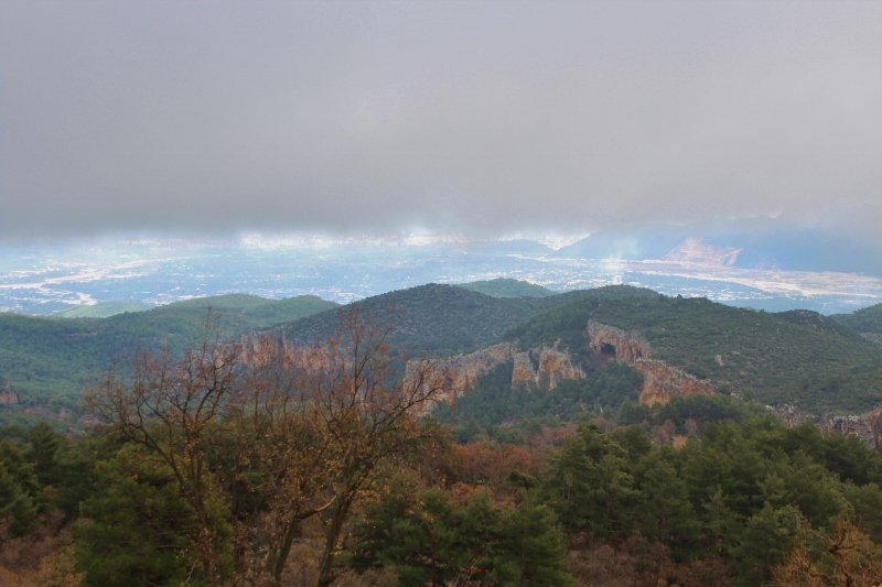 IMG_3077 (800x533).jpg