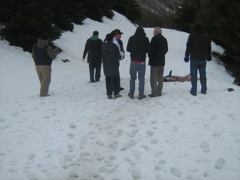 IMG_3078 [800x600].jpg