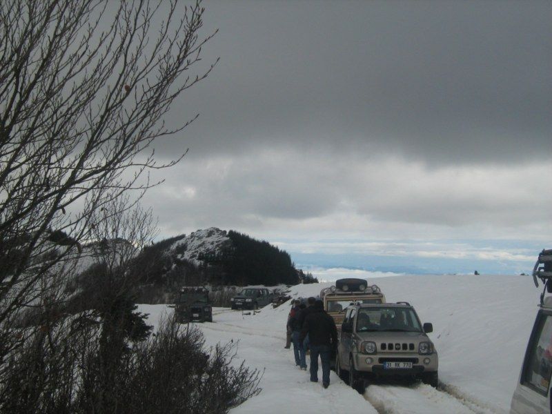 IMG_3079 [800x600].jpg