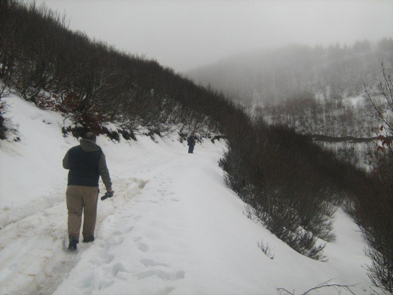 IMG_3081 [800x600].jpg