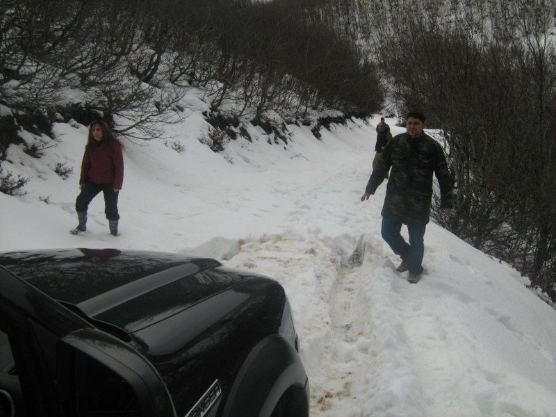 IMG_3090 [800x600].jpg